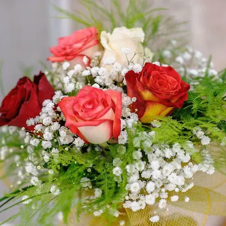 Apartment Falcons Nest *