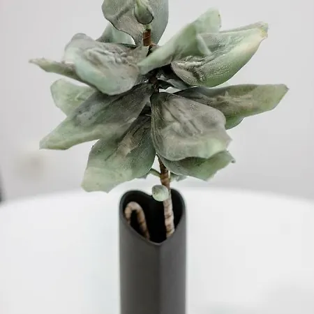 Falcons Nest Šibenik