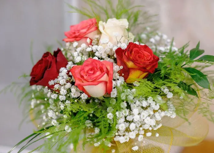 דירה Falcons Nest *