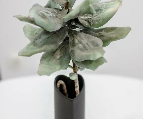 Falcons Nest Šibenik